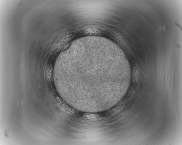 X0000101440417200807281027