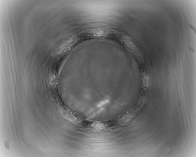 X0000101440419200807281027