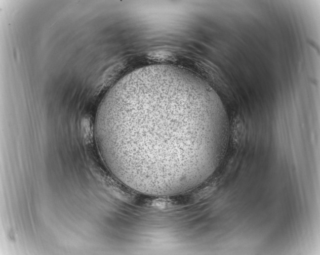 X0000101440420200807281027