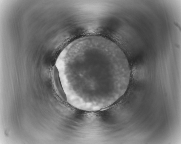 X0000101440423200807281027