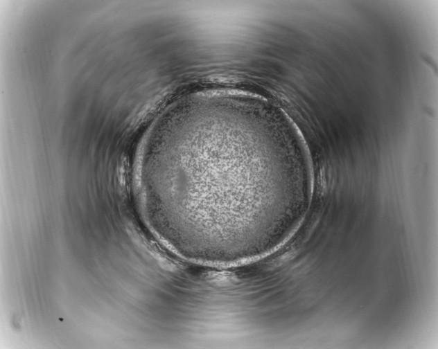 X0000101440424200807281027