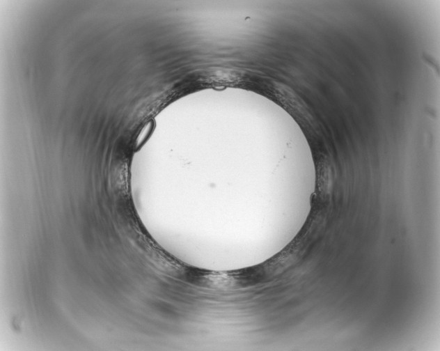 X0000101440425200807281027