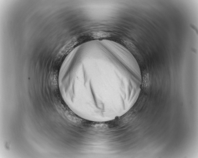 X0000101440426200807281027