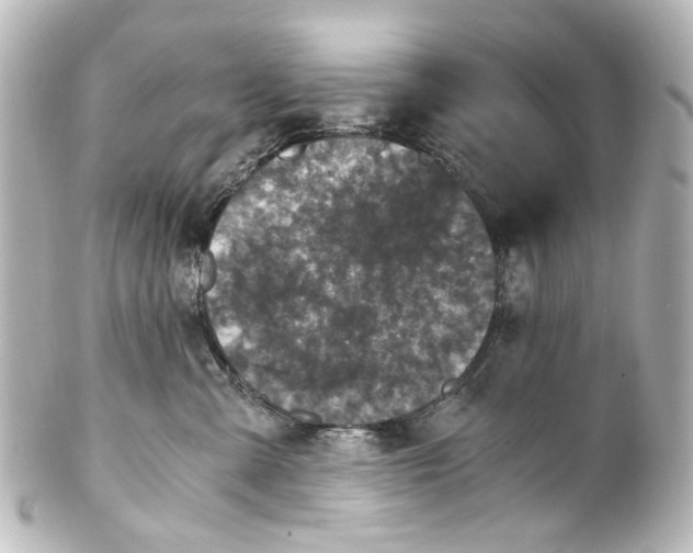 X0000101440427200807281027