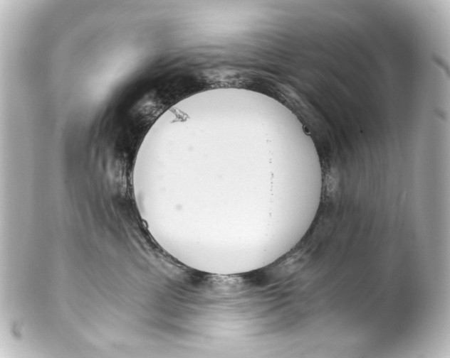 X0000101440429200807281027