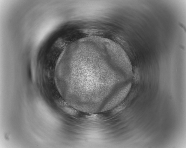 X0000101440430200807281027