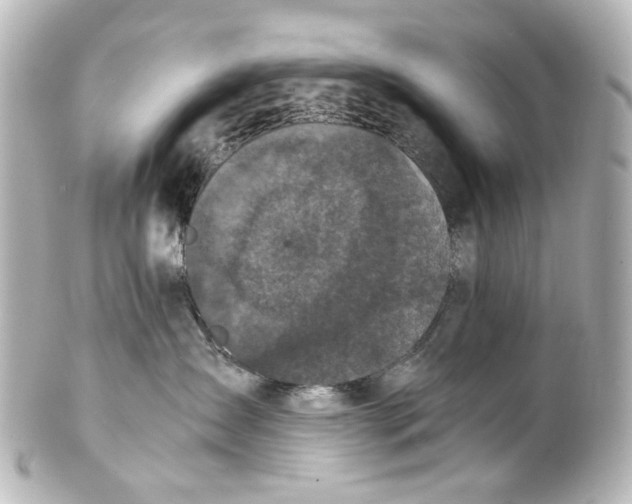 X0000101440431200807281027