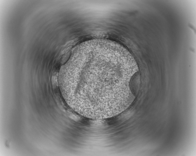 X0000101440432200807281027