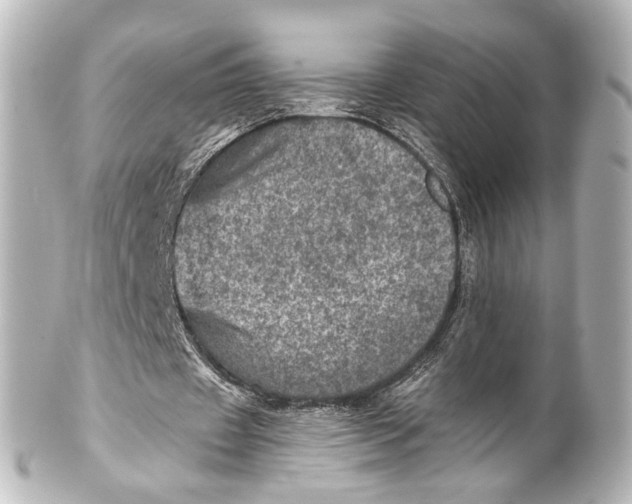 X0000101440433200807281026