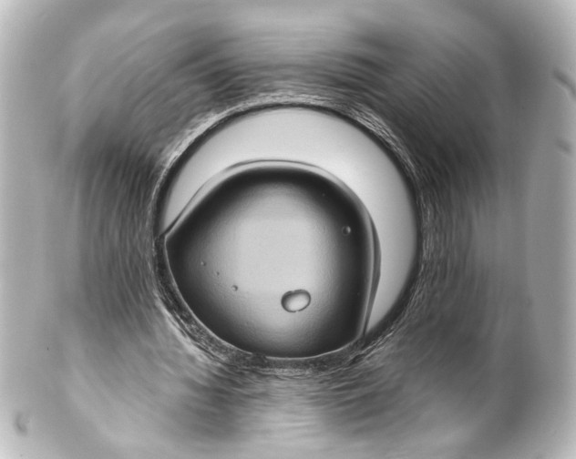 X0000101440436200807281026