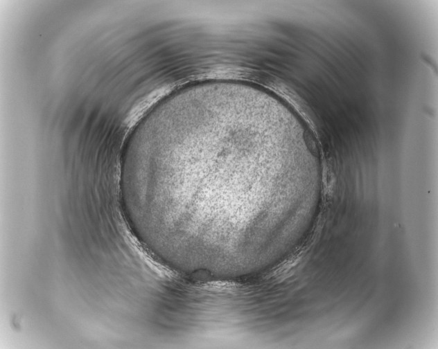 X0000101440437200807281026