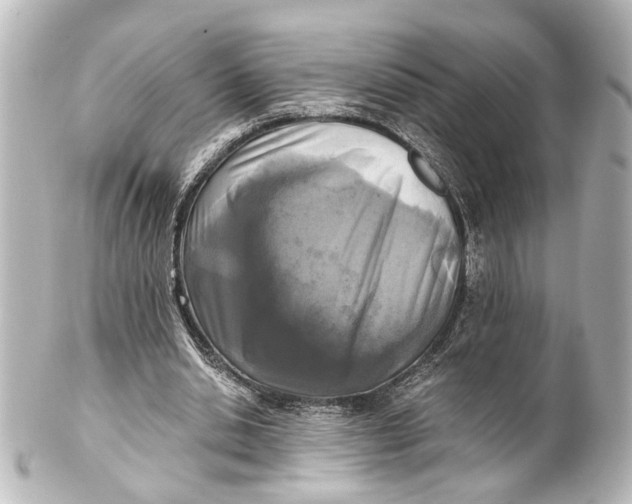 X0000101440438200807281026