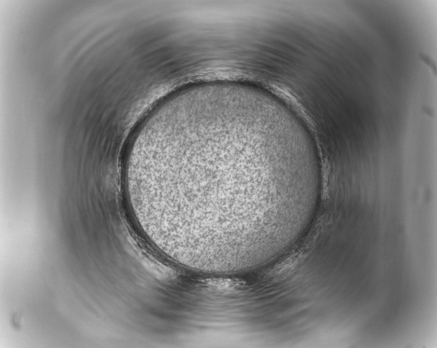 X0000101440439200807281026