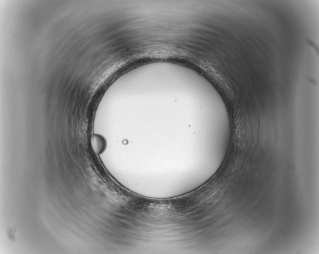 X0000101440440200807281026