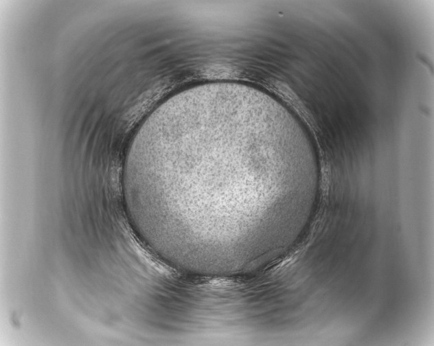 X0000101440441200807281026