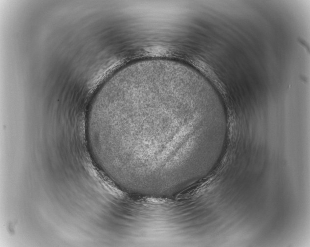 X0000101440442200807281026