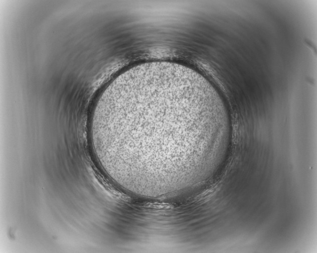 X0000101440443200807281026