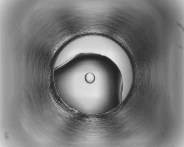 X0000101440444200807281026