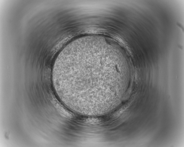 X0000101440445200807281026