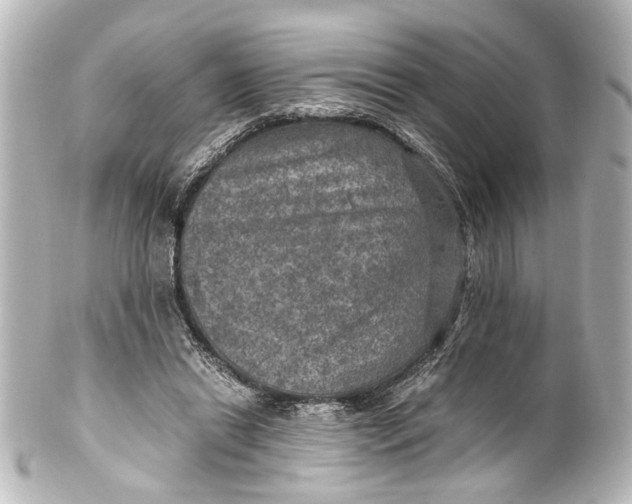 X0000101440446200807281026