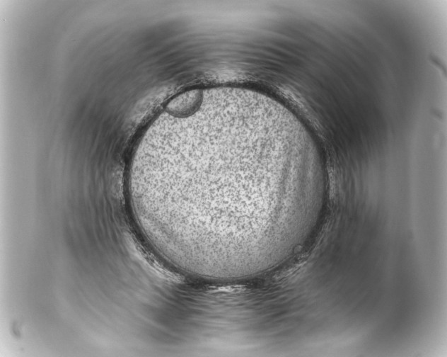 X0000101440447200807281026