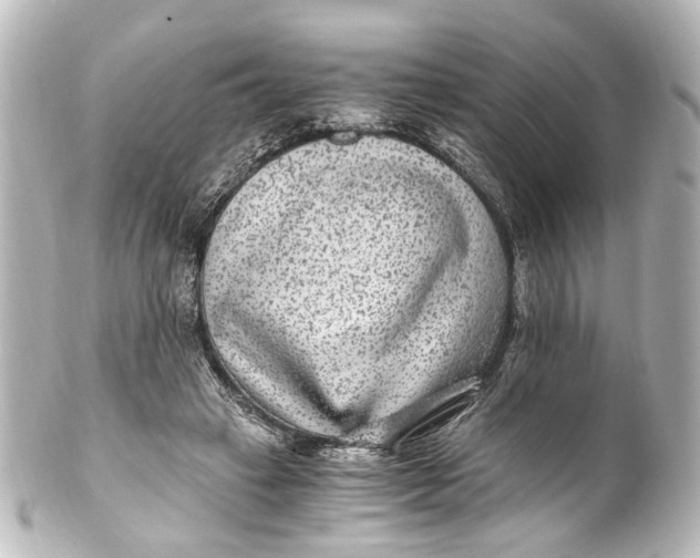 X0000101440449200807281026