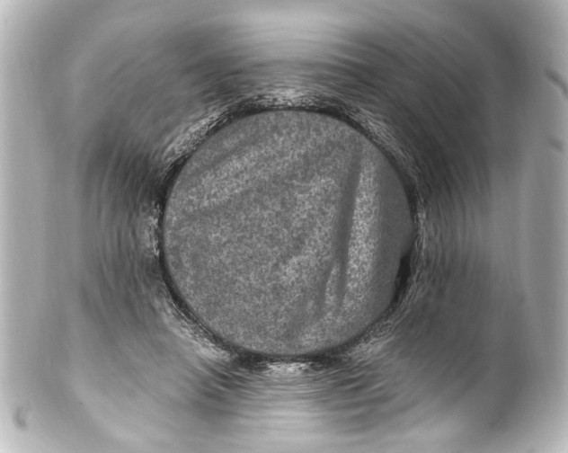 X0000101440450200807281026