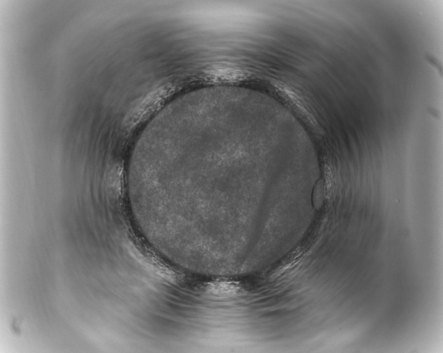 X0000101440451200807281026