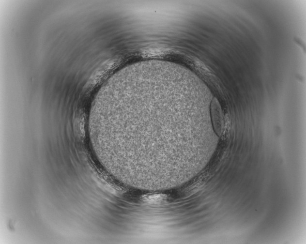 X0000101440452200807281026