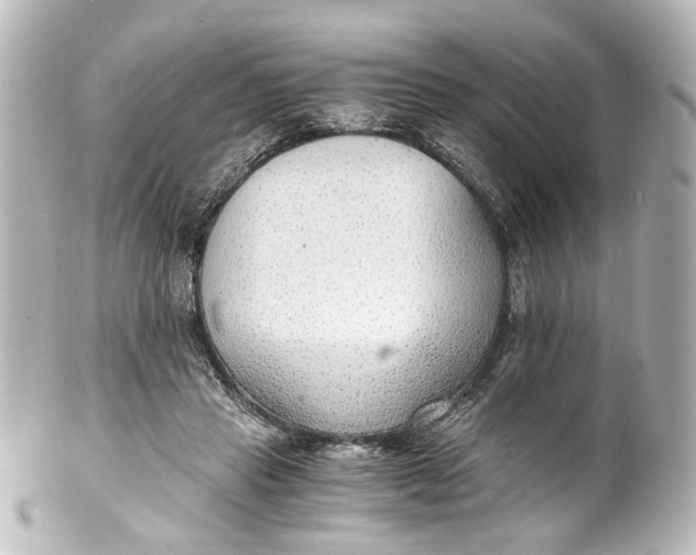 X0000101440453200807281026