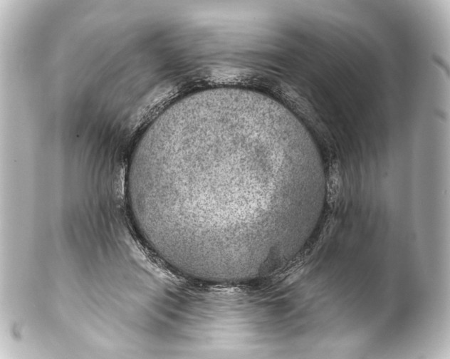 X0000101440454200807281026