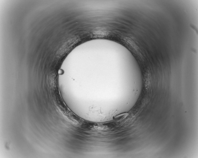 X0000101440455200807281026