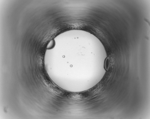 X0000101440456200807281026