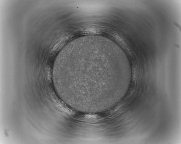 X0000101440457200807281026