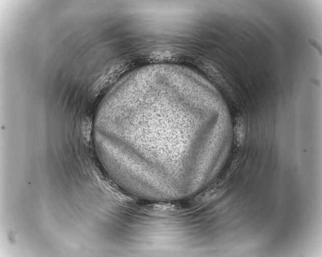 X0000101440458200807281026