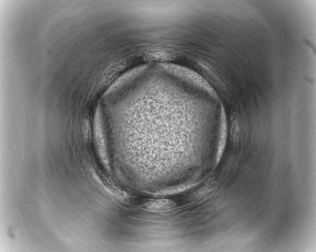 X0000101440459200807281026