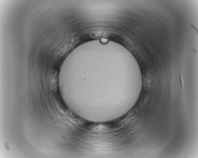 X0000101440460200807281026