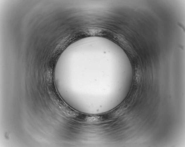 X0000101440461200807281026