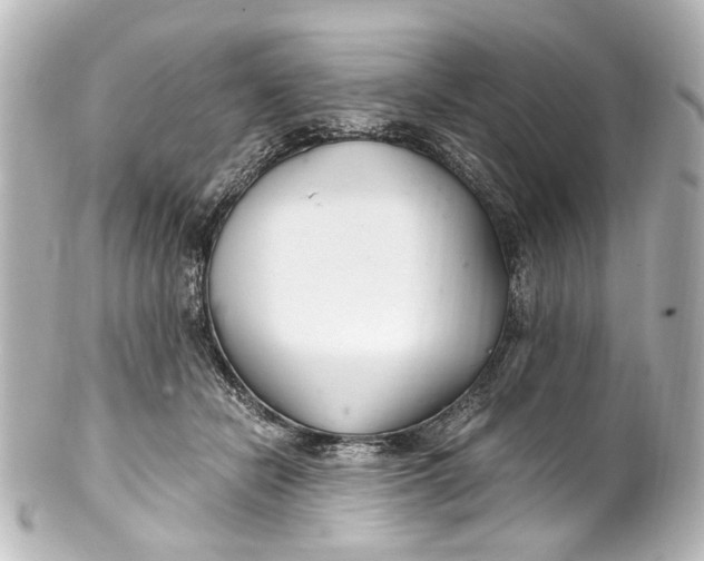 X0000101440462200807281026