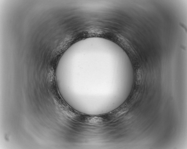 X0000101440463200807281026