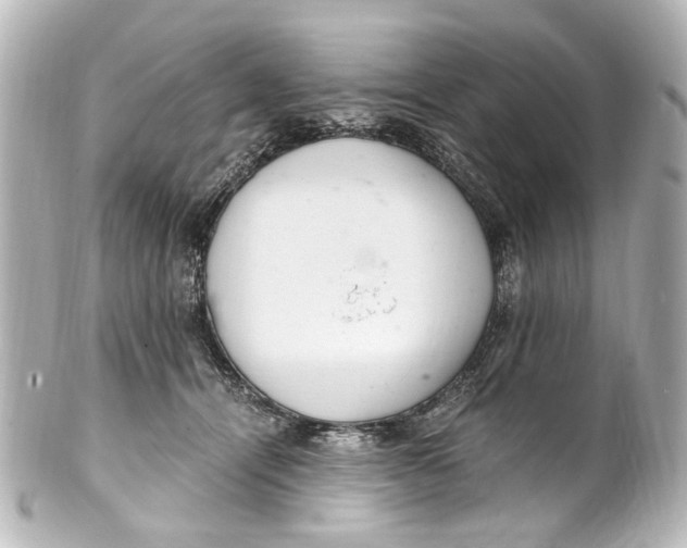 X0000101440464200807281026