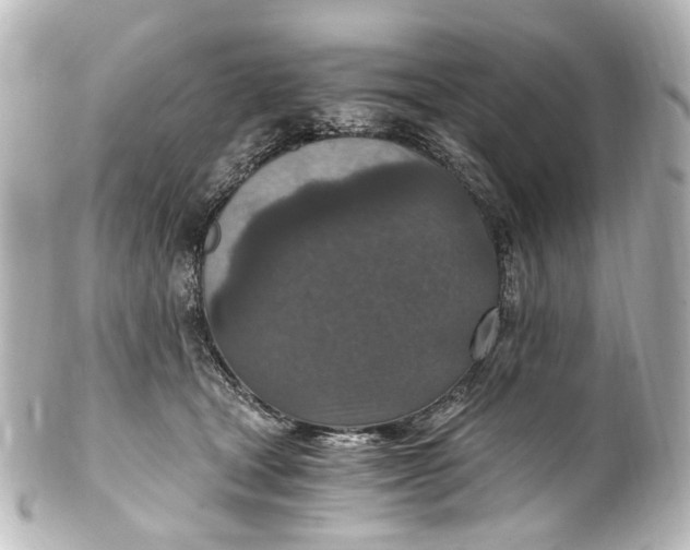 X0000101440465200807281026