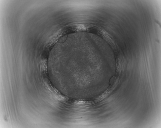 X0000101440467200807281026