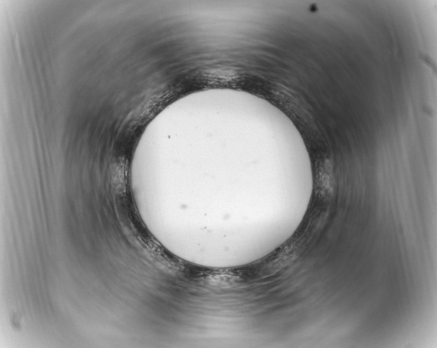 X0000101440468200807281026