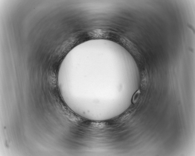 X0000101440469200807281026