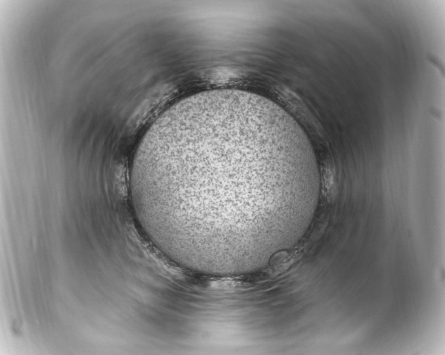 X0000101440470200807281026