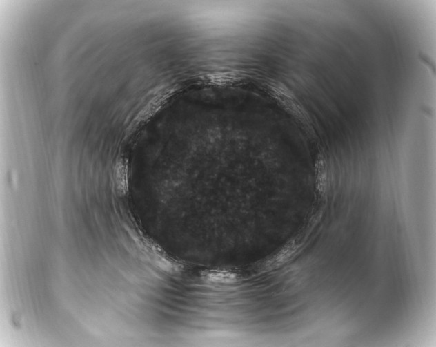 X0000101440471200807281026