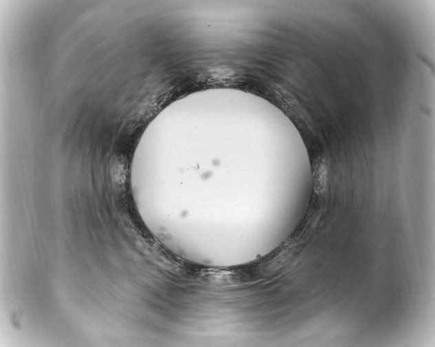 X0000101440472200807281027