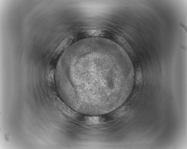 X0000101440473200807281027