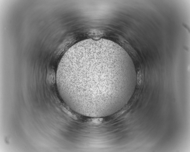 X0000101440474200807281027